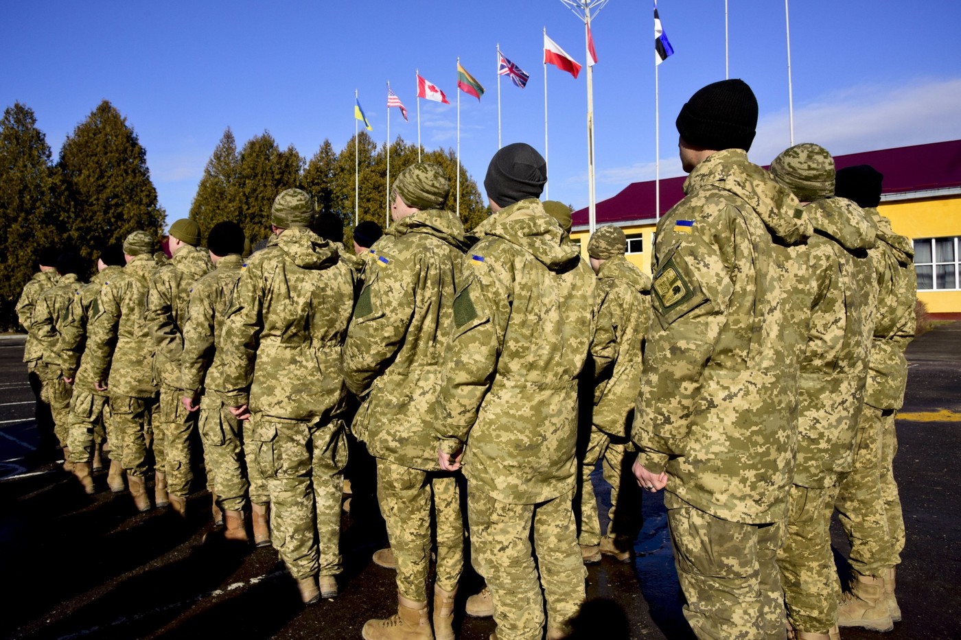 24-та бригада імені короля Данила: історія, структура та бойовий шлях